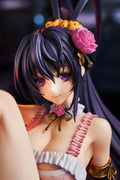 KADOKAWA High School DxD Akeno Himejima : Light