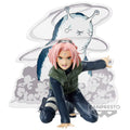 Figurine Haruno Sakura Panel Spectacle